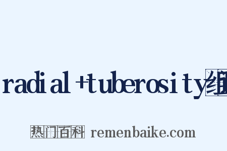 radial+tuberosity组词是什么意思的图片